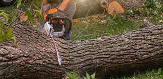 Lawn Watering Services in Lake Kiowa, TX