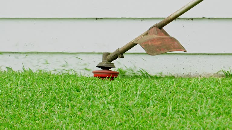 Professional Tree Services in Lake Kiowa, TX